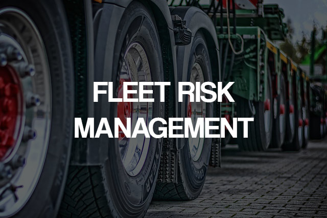 fleet risk manager
